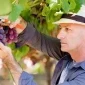 Esofageal Cancer - Treatments, Symptoms, Causes